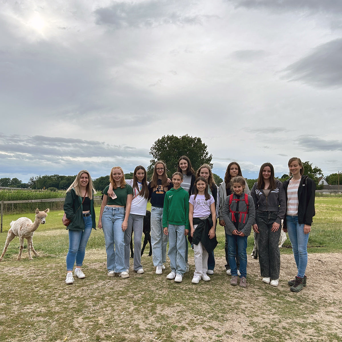 Alpakawanderung der Turnjugend